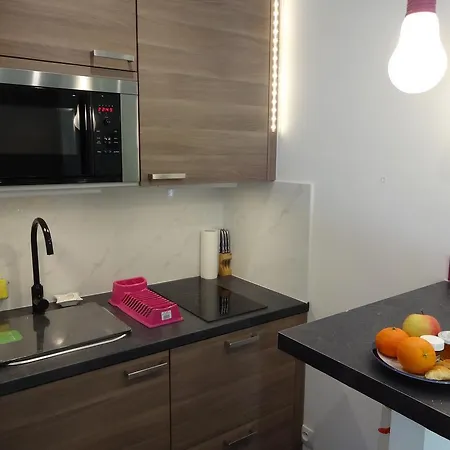 Superbe In 450m Sea & Parking 戛纳